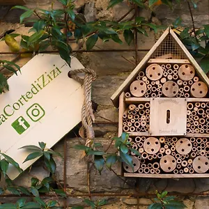  Holiday home La Corte Di Zizi Italy